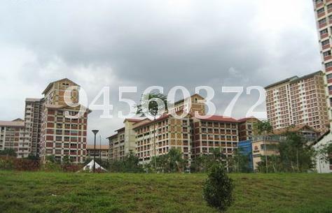 Blk 212 Bishan Street 23 (Bishan), HDB Executive #97700422